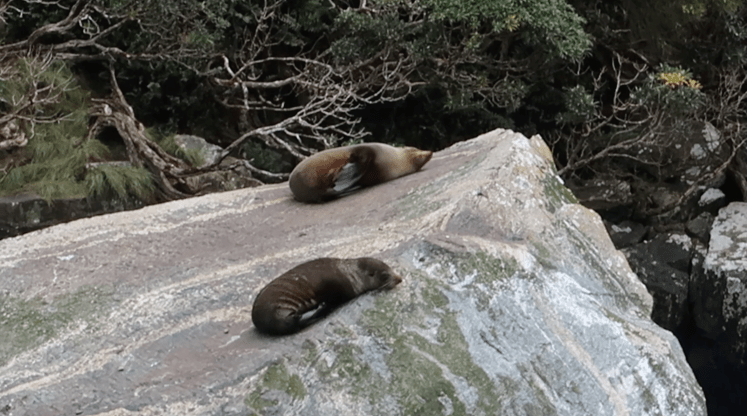 Bildschirmfoto 2017-12-17 um 09.24.42